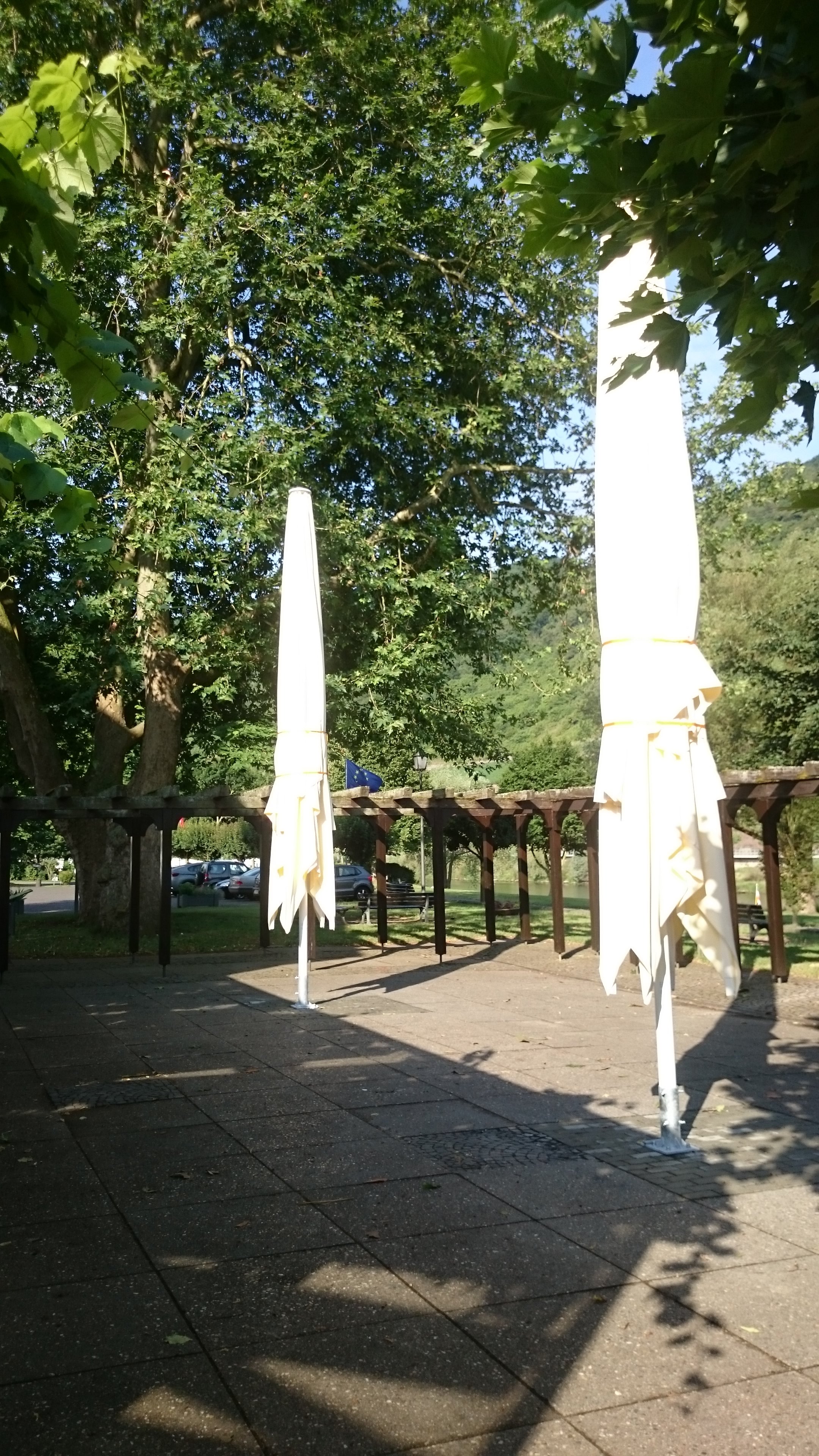 DSC 00181